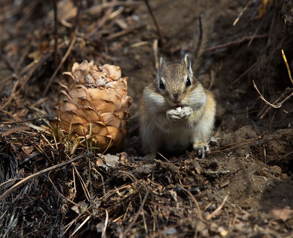 Photograph by Анатолий Васильев