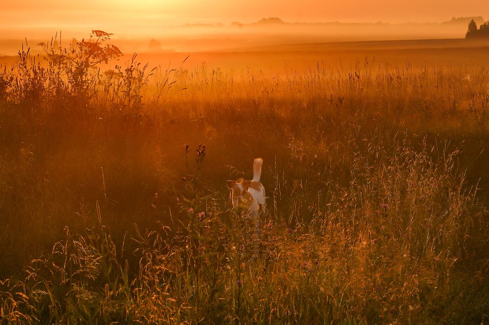 Photograph by Tatiana Grinko