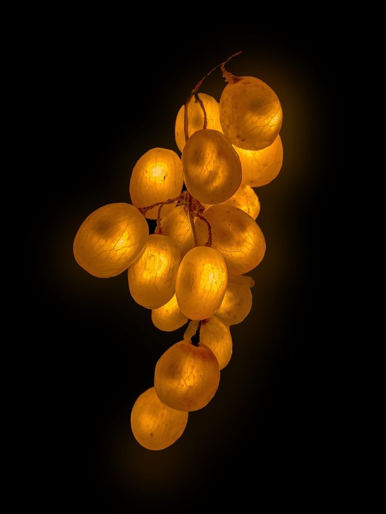 Photograph by Tatiana Grinko