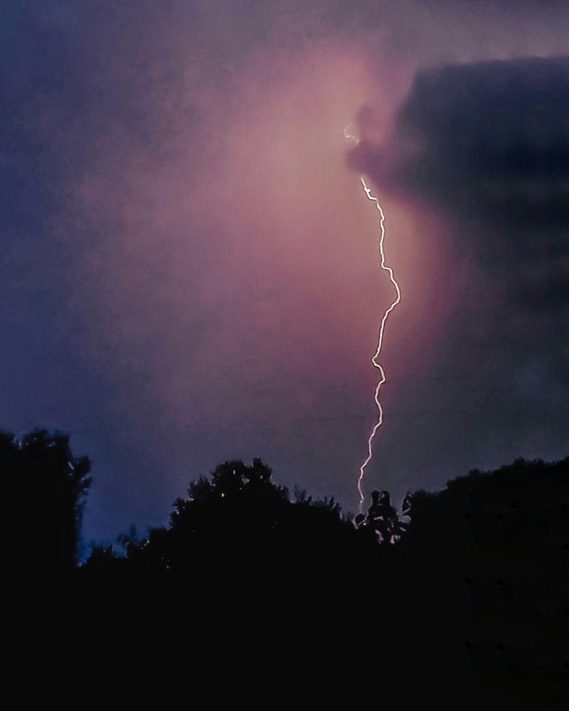 Photograph by Tatiana Grinko