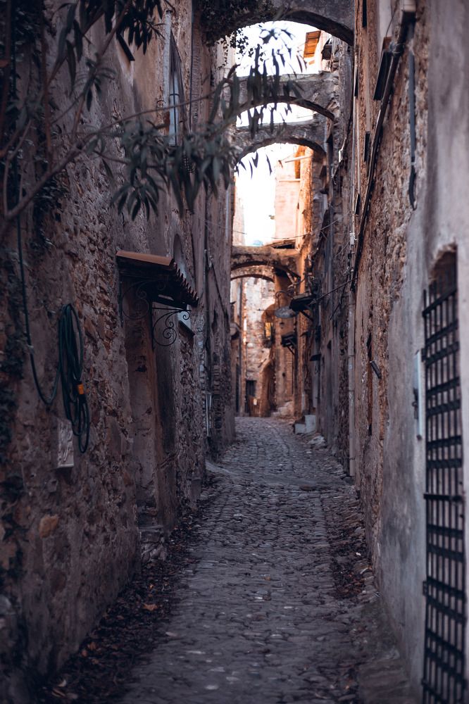 Photograph by Липилина Снежана