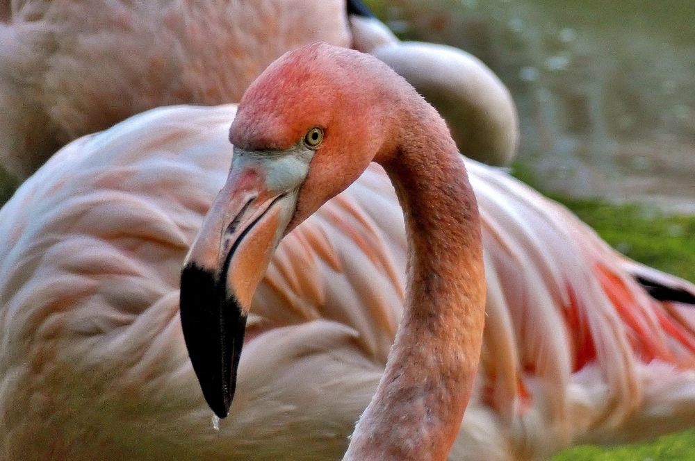 Photograph by backareva irina