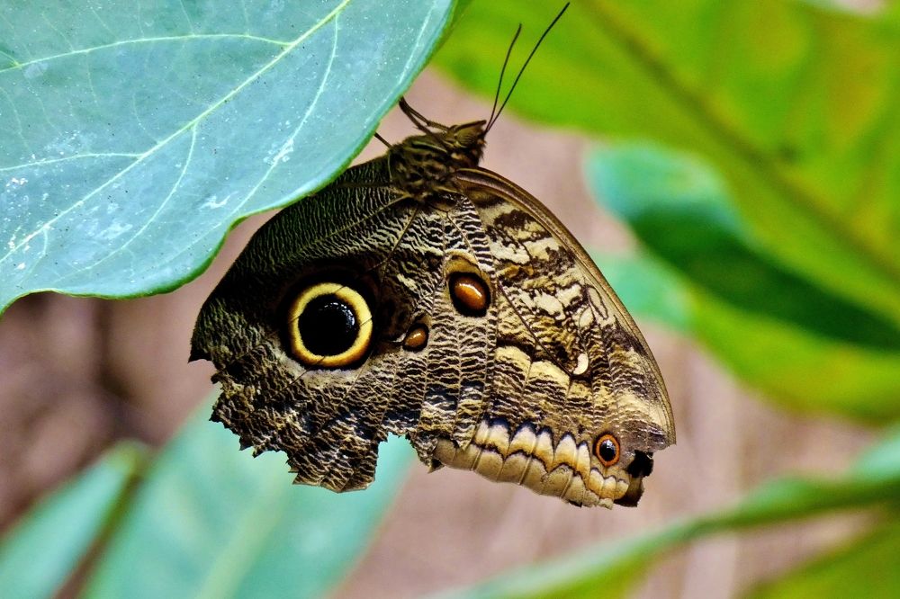 Photograph by backareva irina