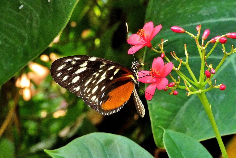 Photograph by backareva irina