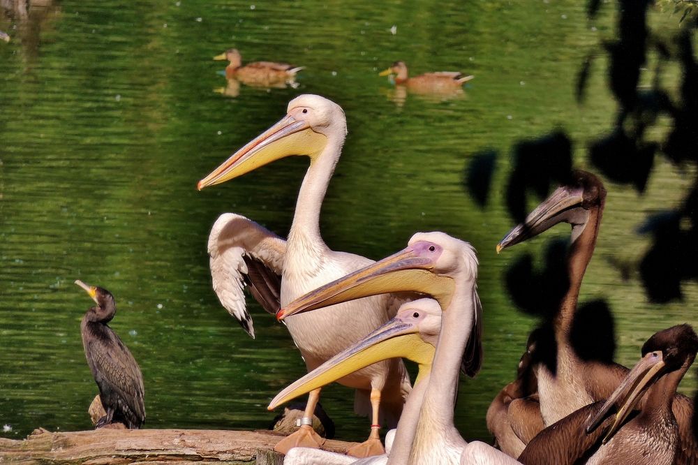 Photograph by backareva irina