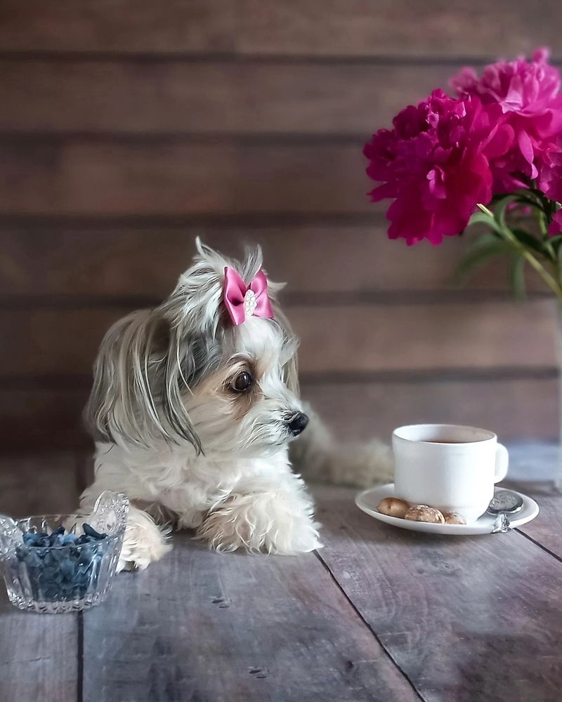 Photograph by Люда Яковлева