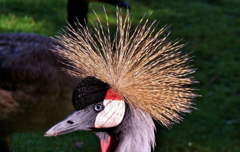 Photograph by backareva irina