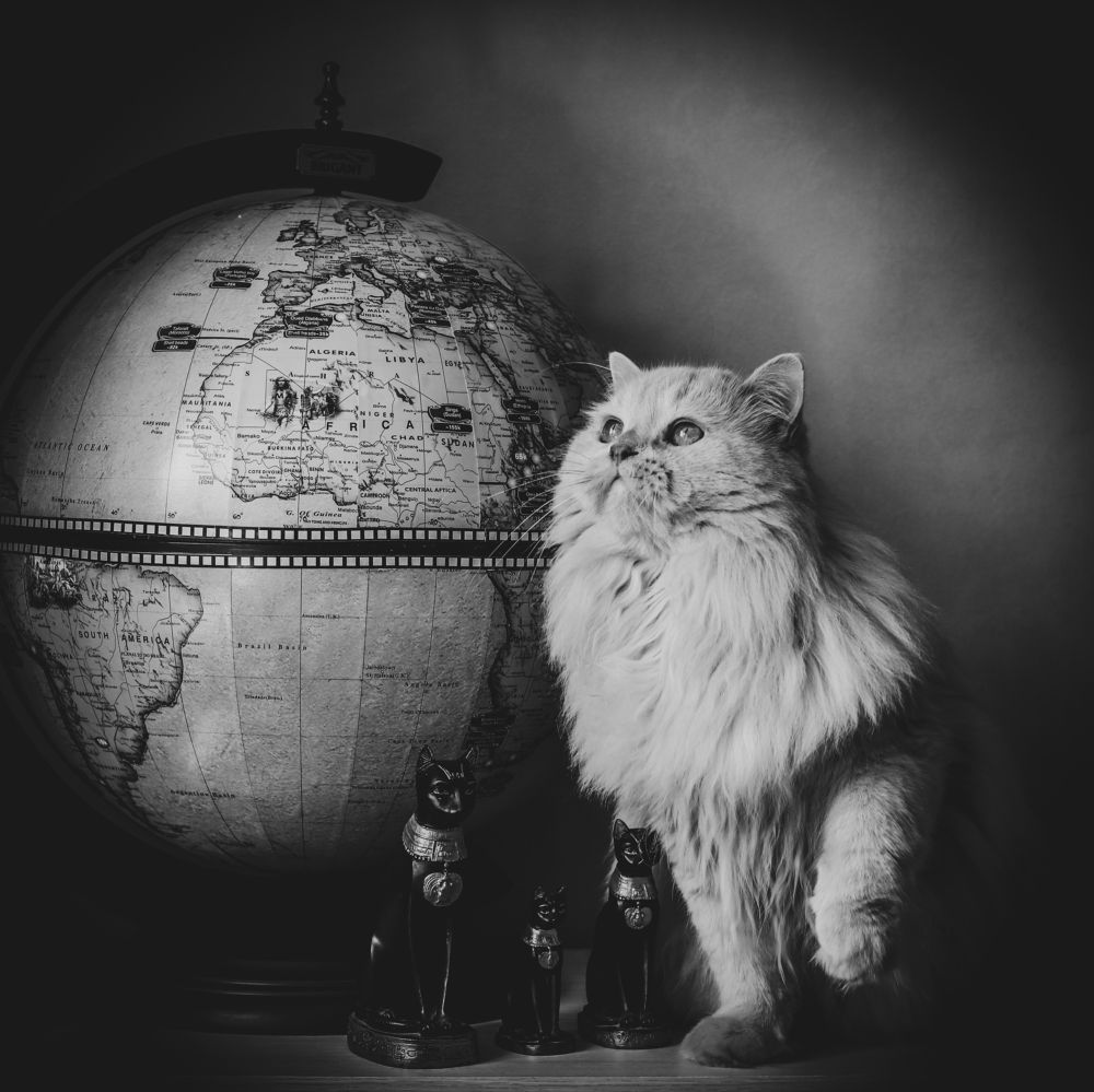 Photograph by Альвина Кузнецова