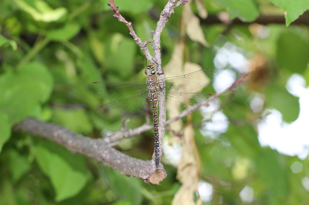 Photograph by Светлана