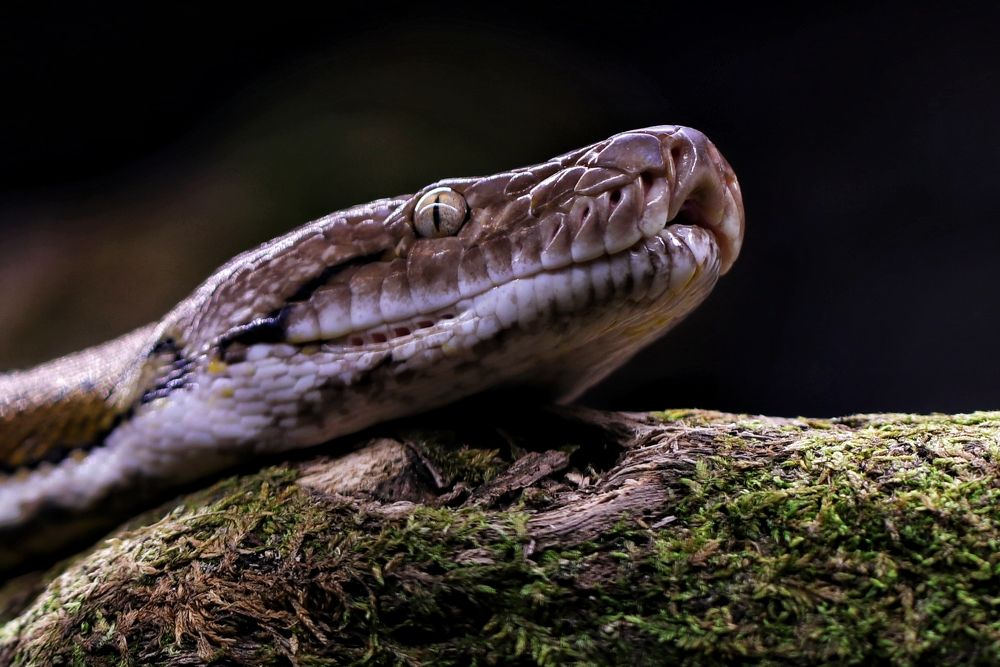 Photograph by Ирина Салминен