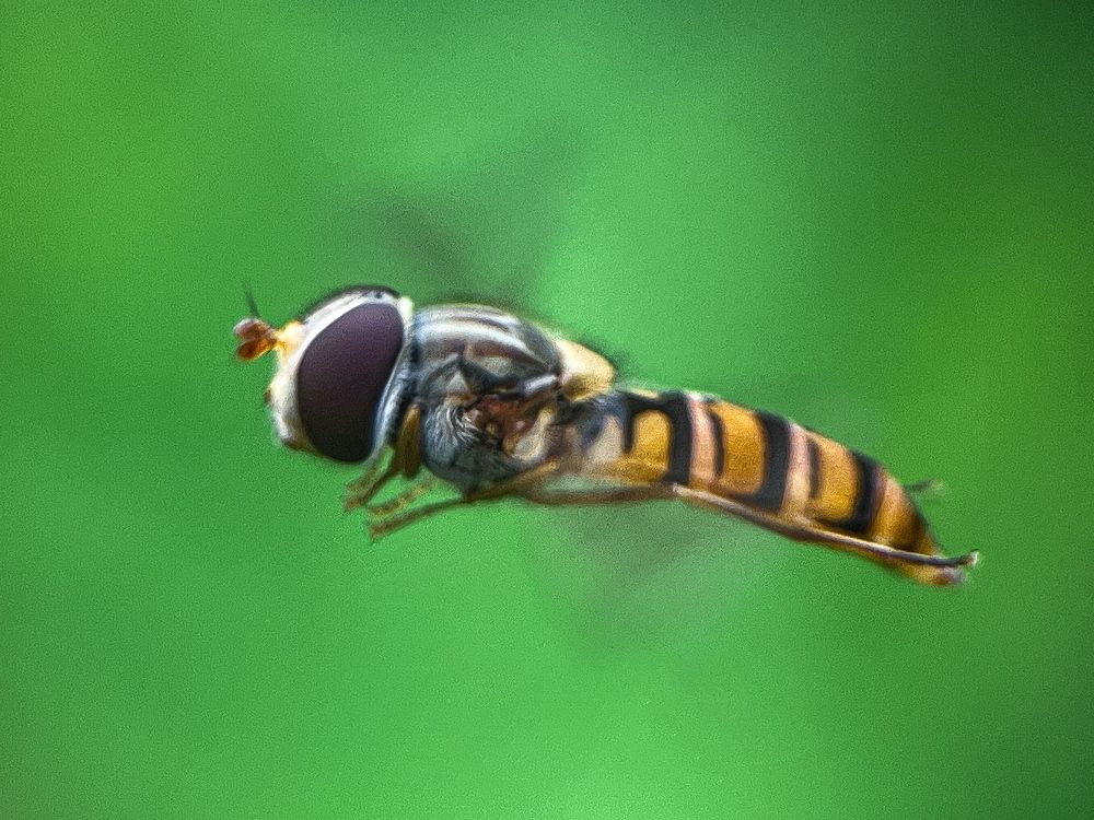 Photograph by T.Ю. Гринько