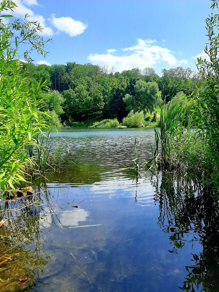 Photograph by Вероника