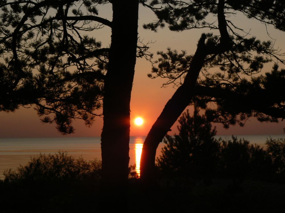Photo #9431981