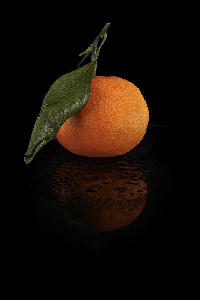 Photograph by T.Ю. Гринько