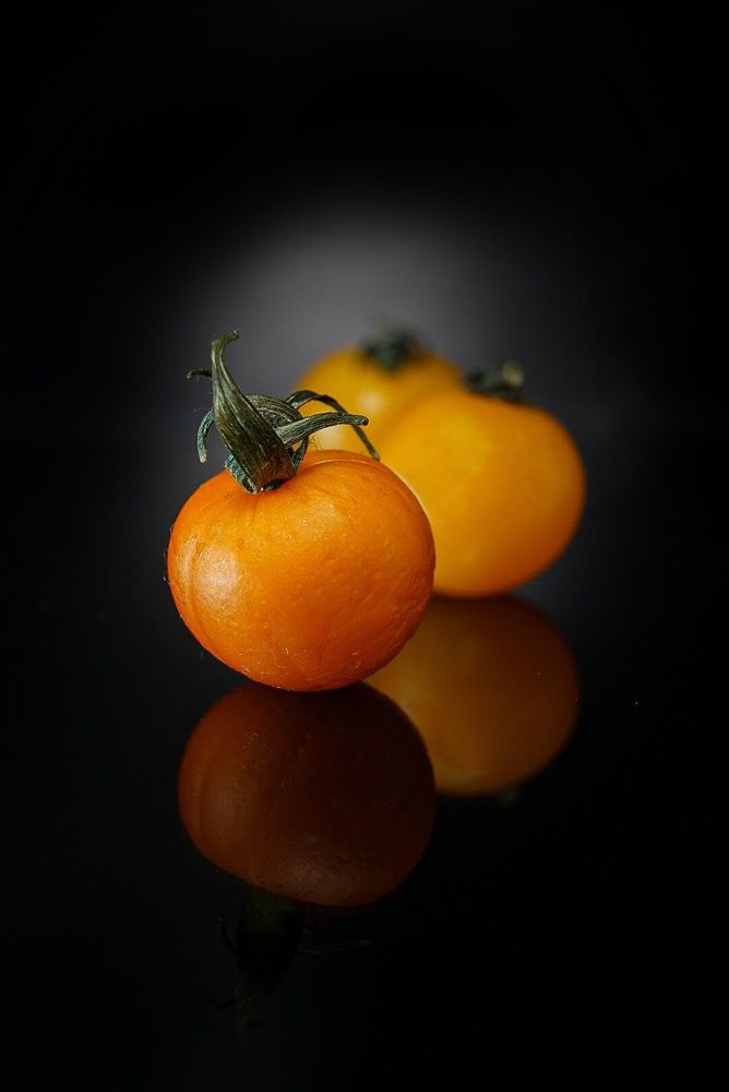 Photograph by T.Ю. Гринько