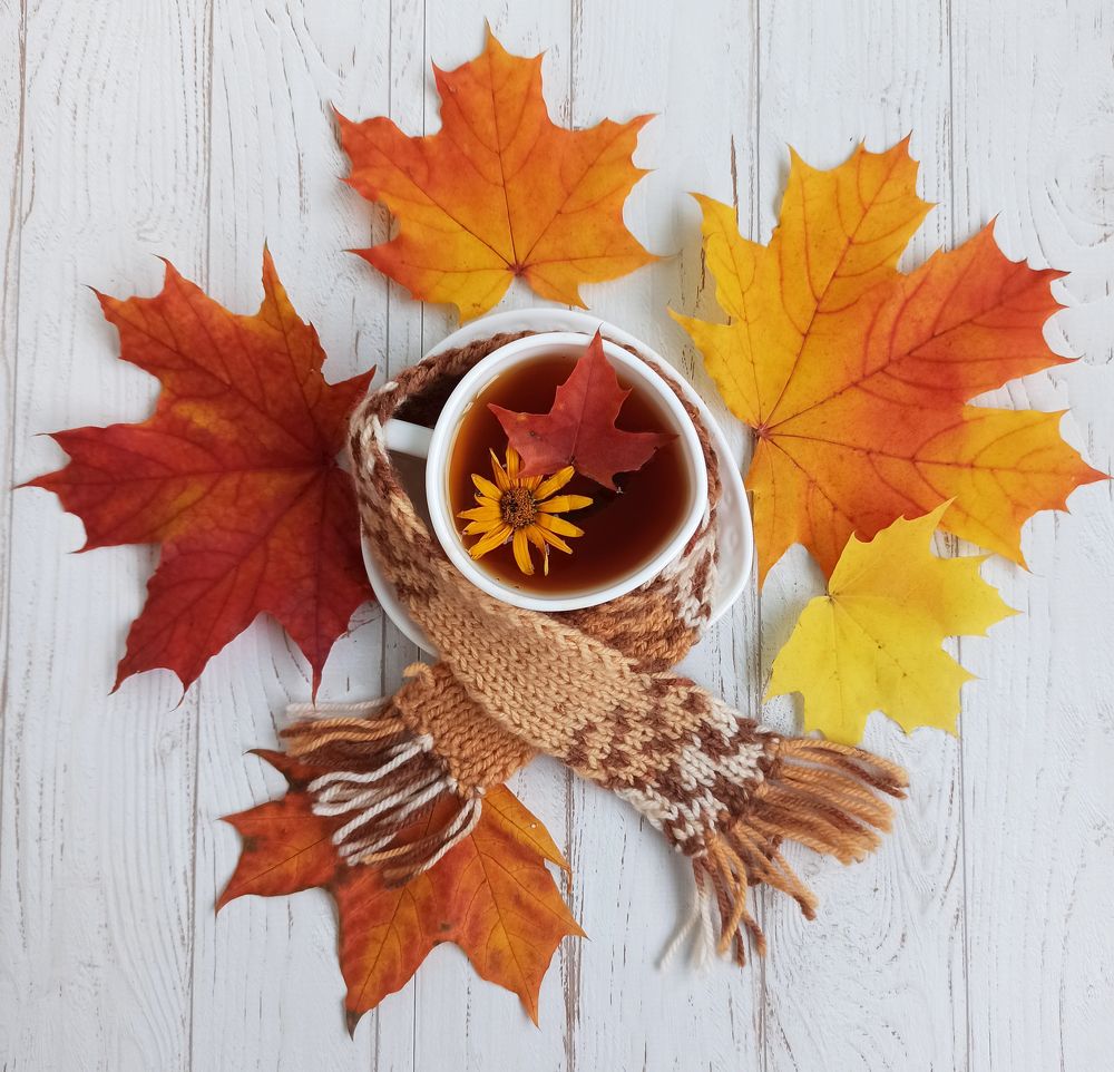 Photograph by Лолита Богачева