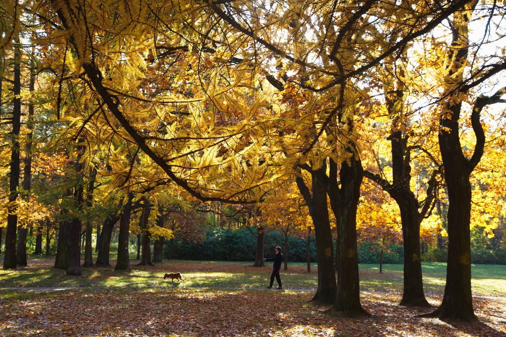 Photograph by Анатолий Протасов