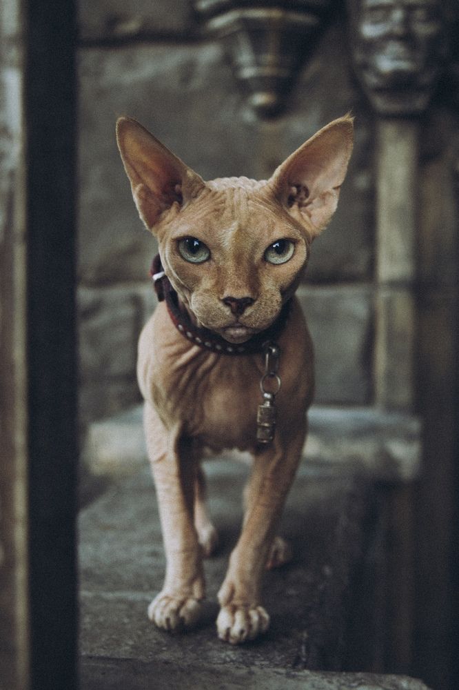 Photograph by Наталья Домненко