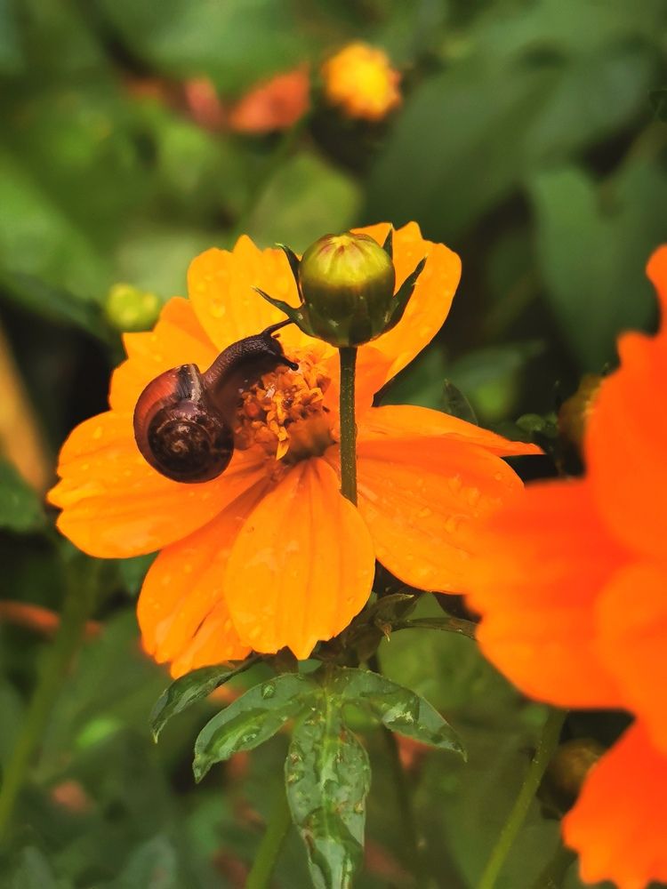 Photograph by Наталия Питолина