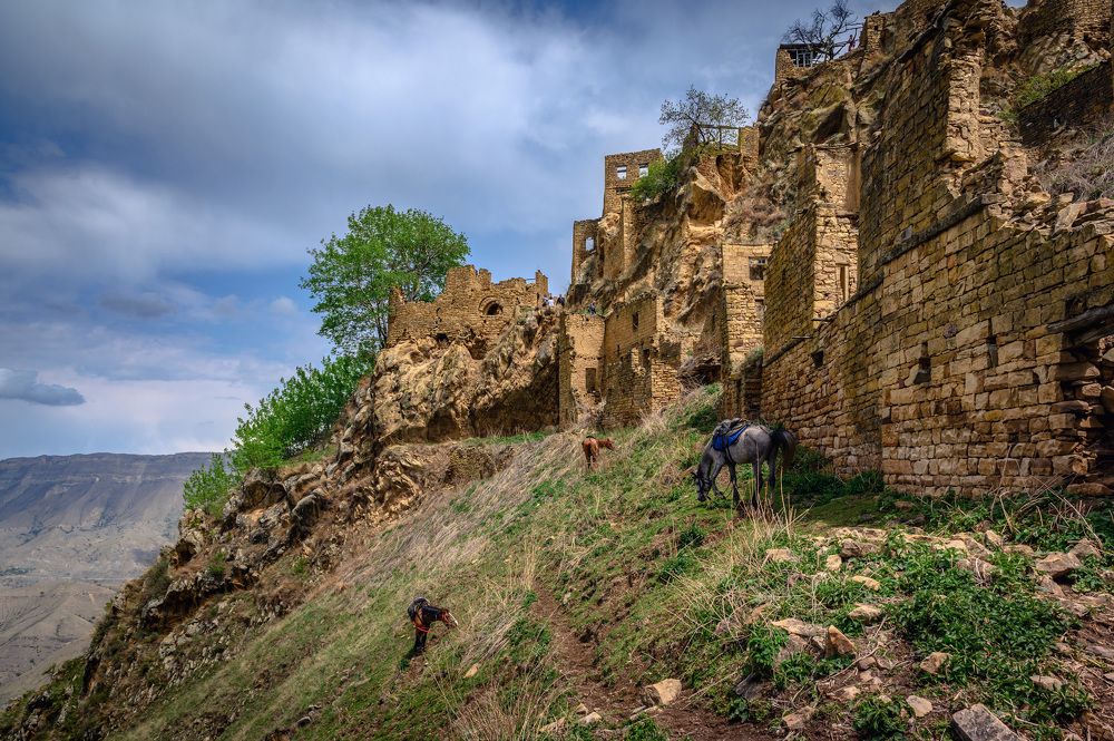 Фотография автора Васильев Андрей