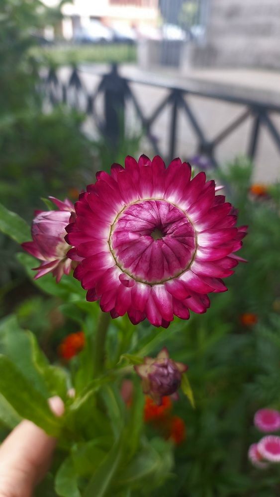 Photograph by Каковкина Ольга