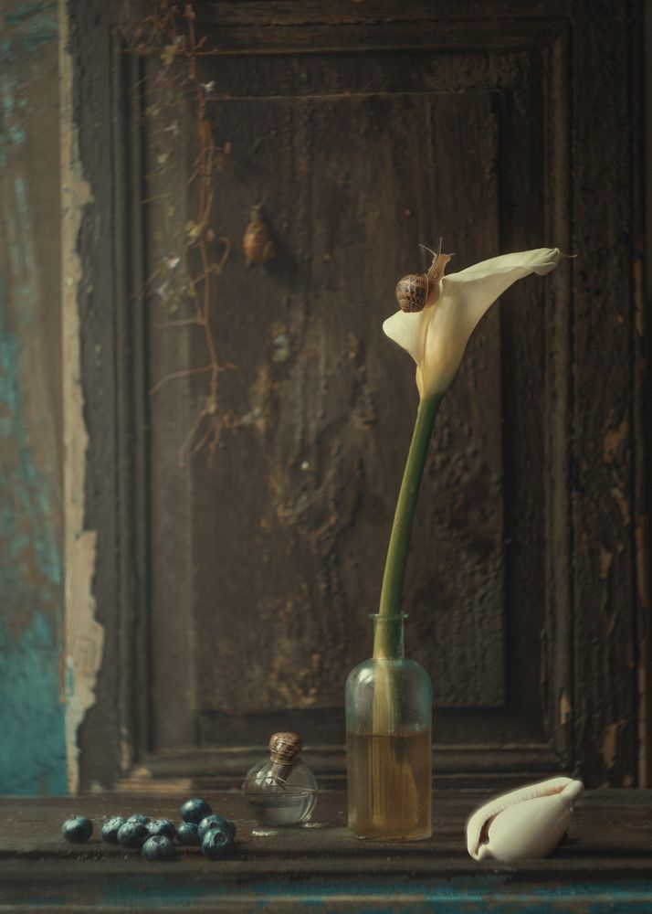 Photograph by Natalia Ricci