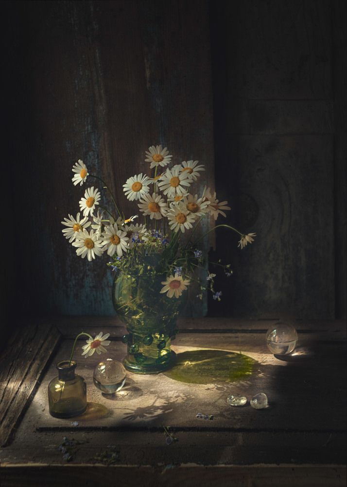 Photograph by Natalia Ricci