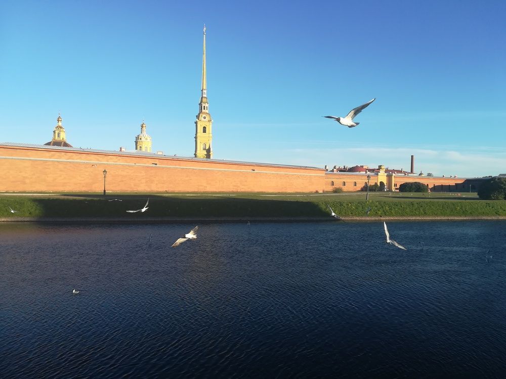 Photograph by Елизавета