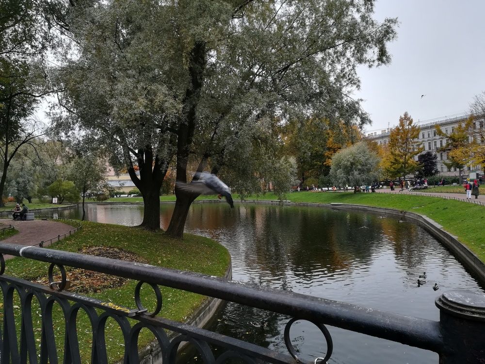 Photograph by Елизавета