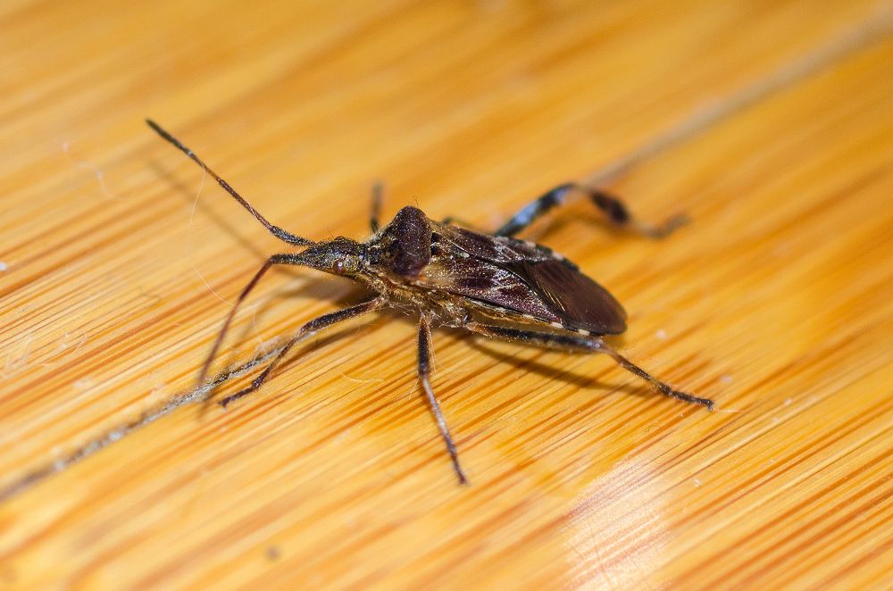 Photograph by Евгений Каримов