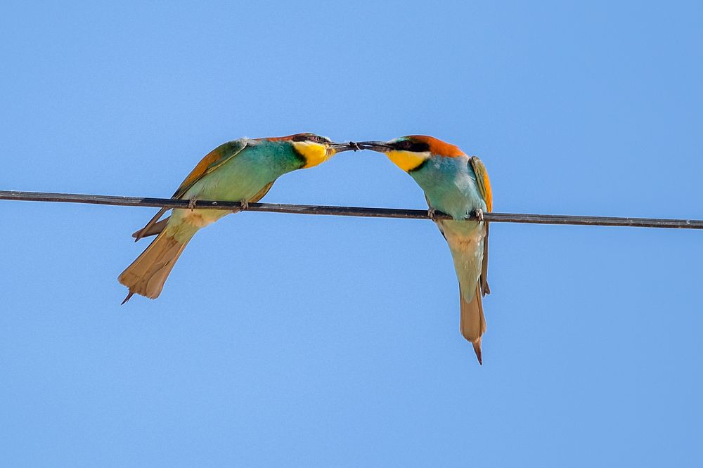 Photograph by Manuel Iglesias