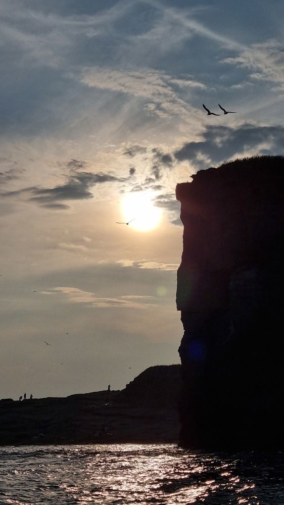 Photograph by Ольга