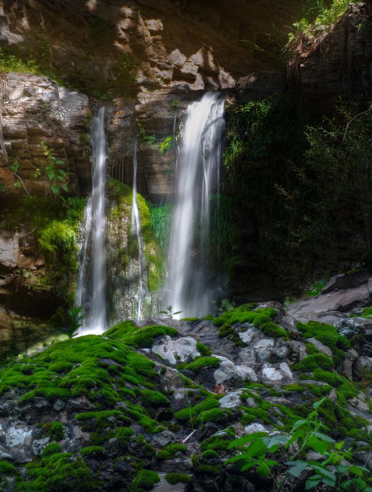 Waterfall's Glow on Mossy Wonderland