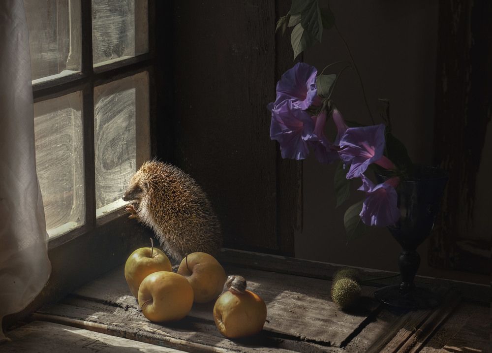 Photograph by Natalia Ricci