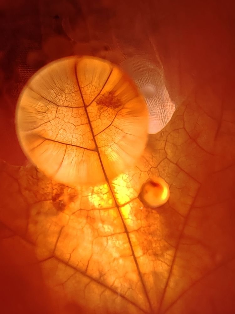 Photograph by Татьяна Егорова