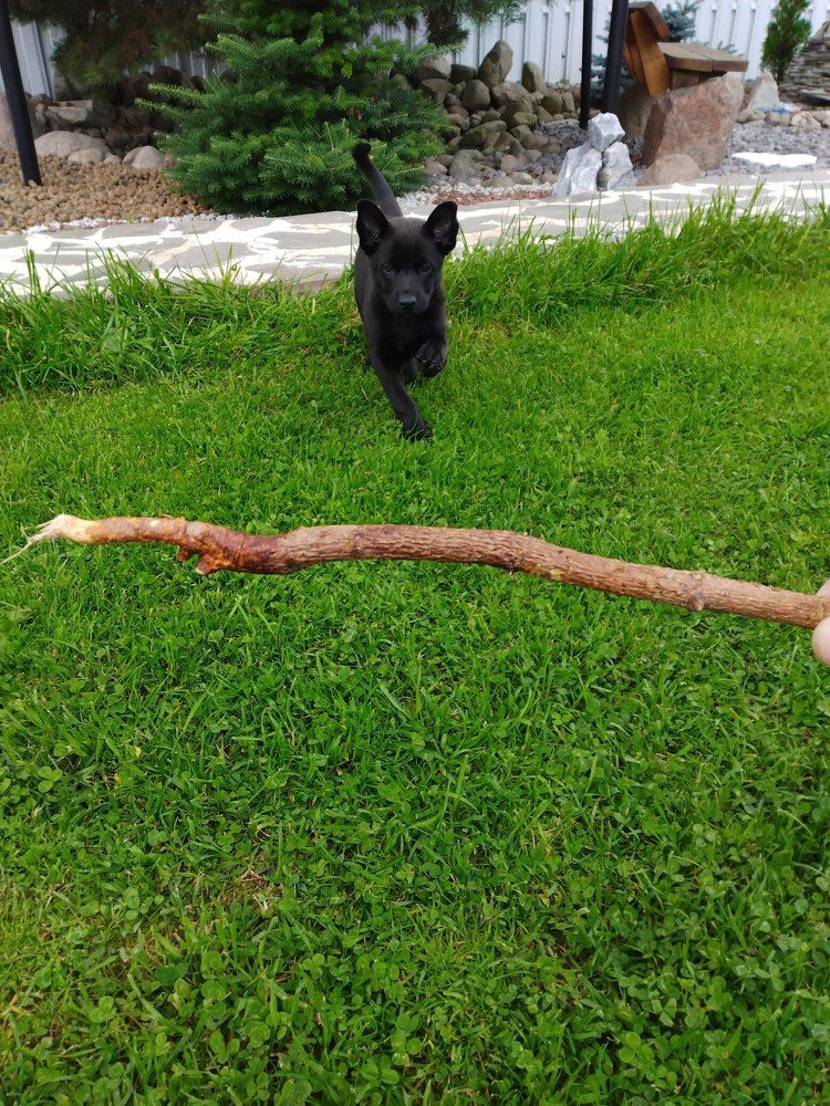 Photo #9432232