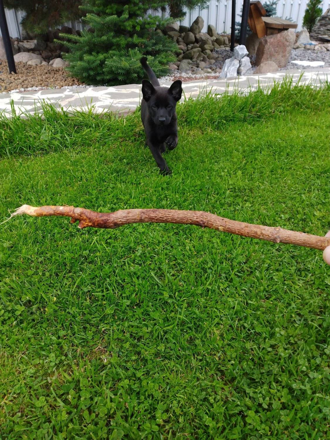 Photo #9432232