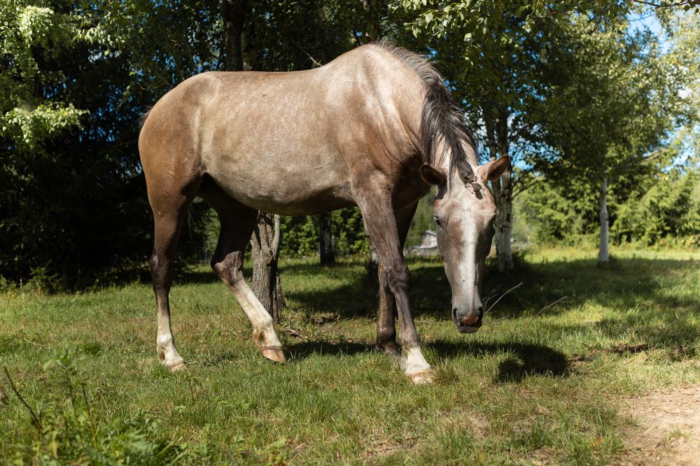 Photograph by Nadezhda Bakina