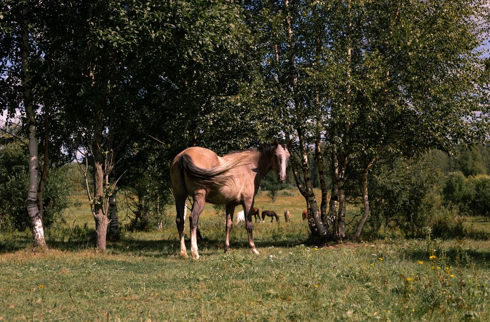 Photograph by Nadezhda Bakina