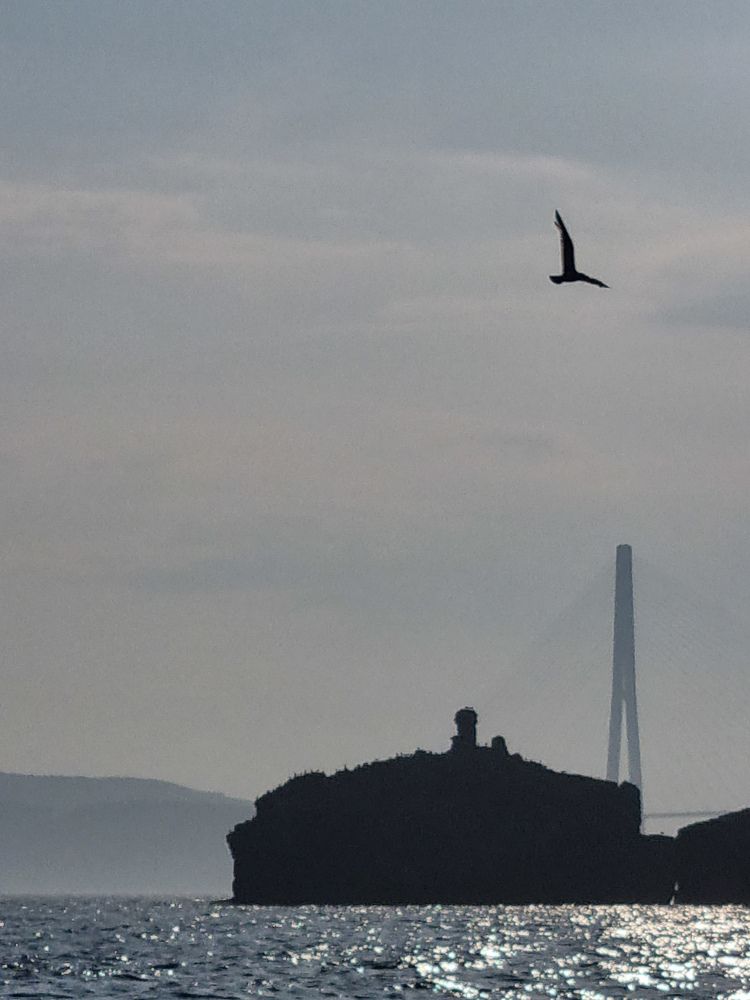 Photograph by Ольга