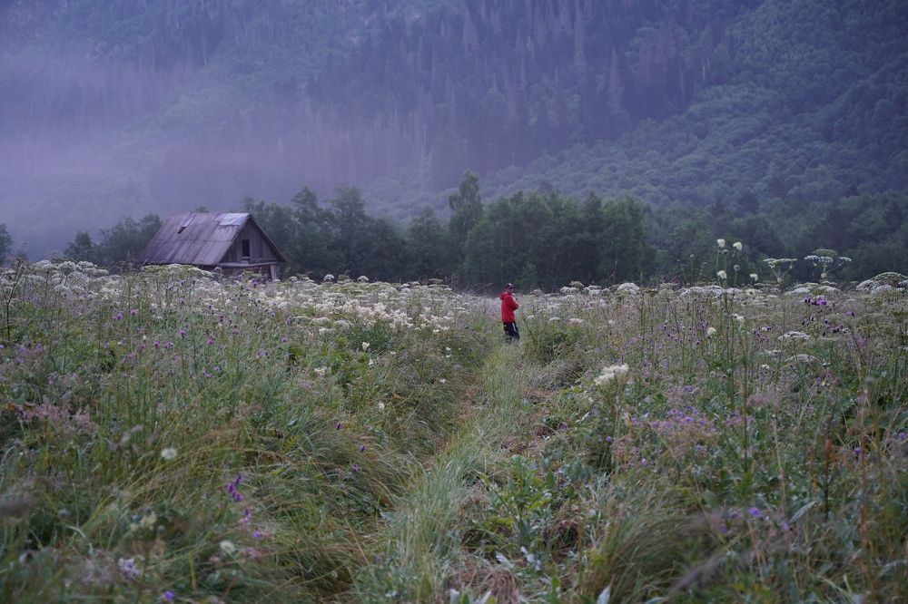 Photograph by Пиленгас Александр