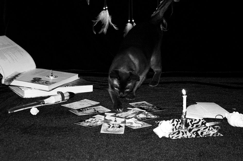 Фотография автора Надежда Лисицына