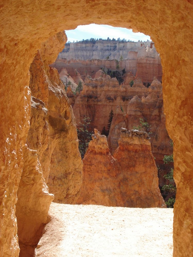 Photograph by Ирина Орлова