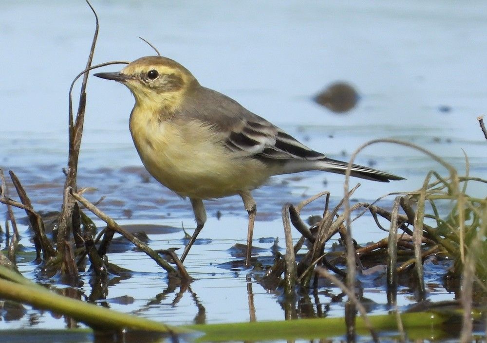 Photograph by Владимир Джерихов