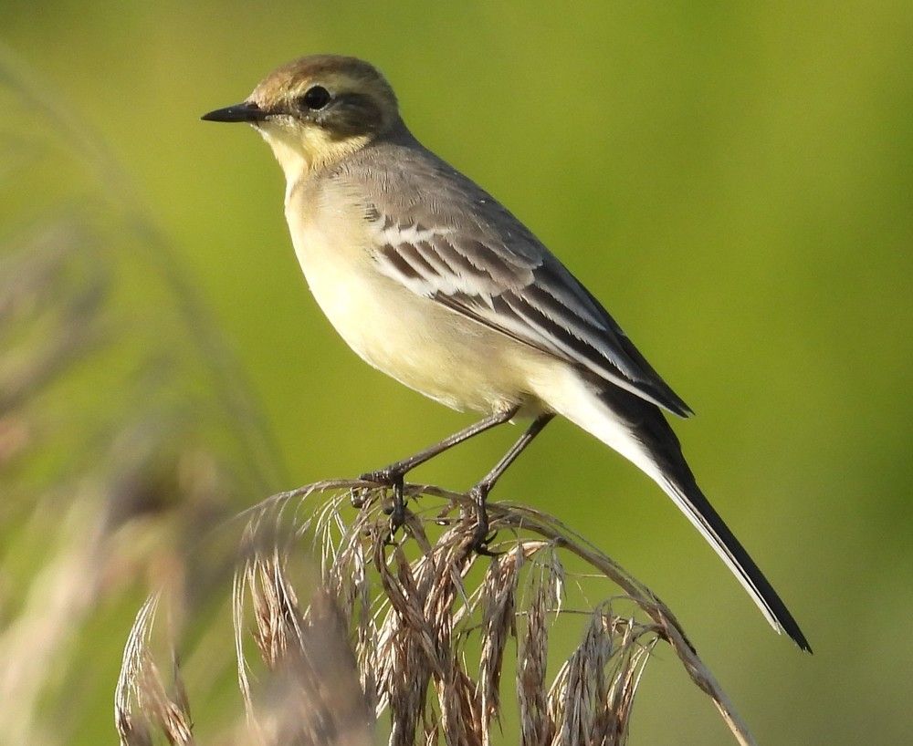 Photograph by Владимир Джерихов