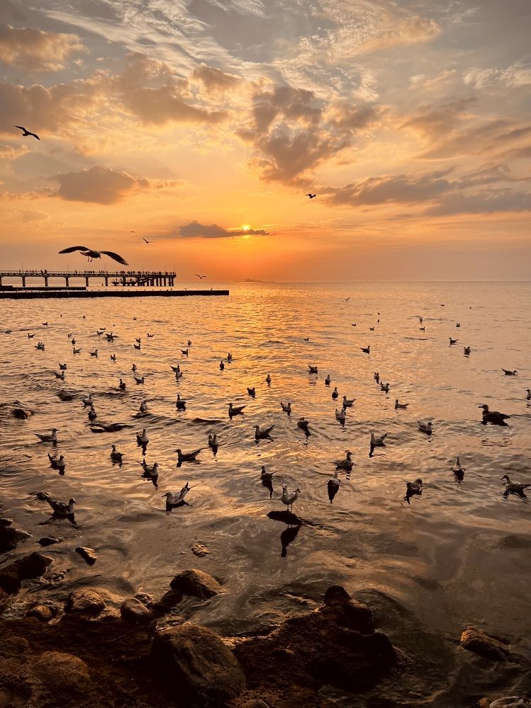 Photograph by Елена Ковалева