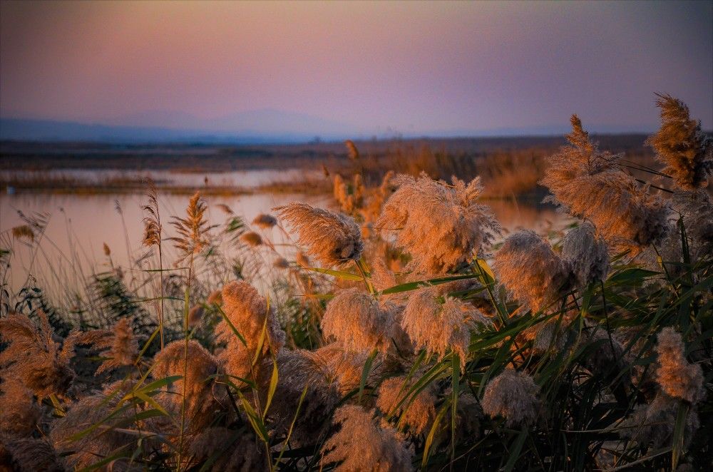 Photograph by Инна Гаджиева