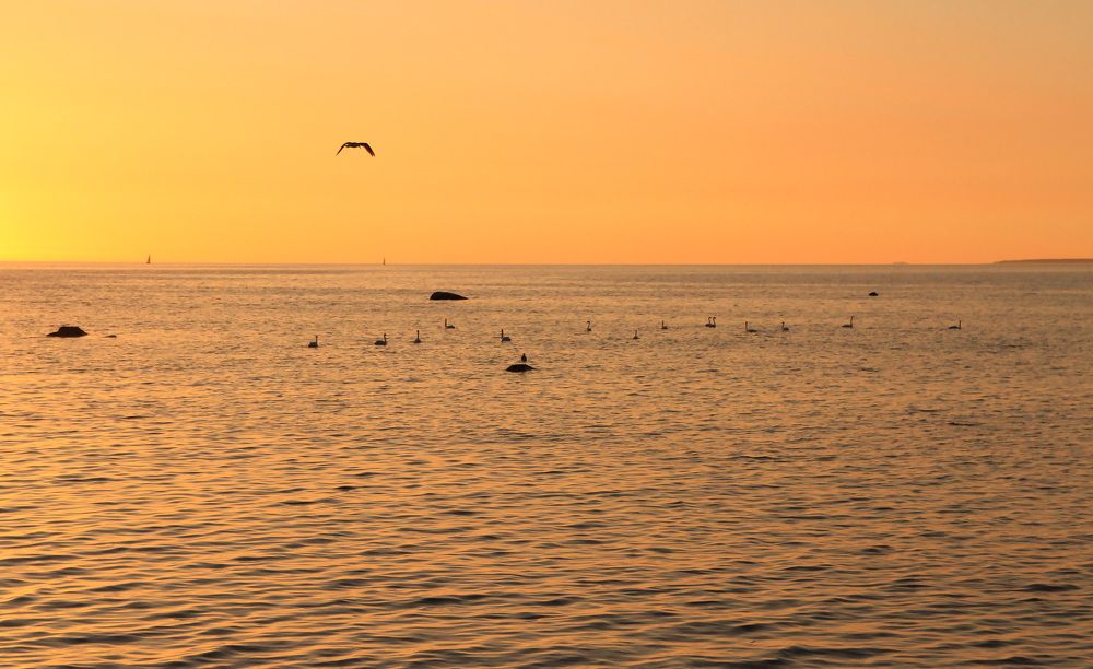 Photograph by Агнес