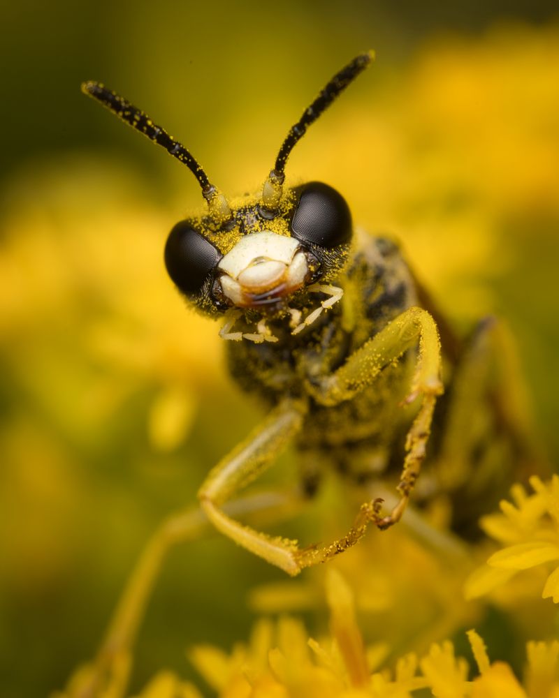 Photograph by Евгения Прокопович
