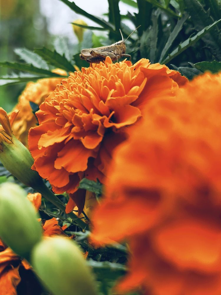 Photograph by Никита Петров